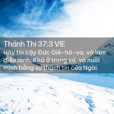 Picture 02 - Thánh Thi 37:3 VIE - Hãy tin cậy Đức Giê-hô-va, và làm - Bible Verse Picture