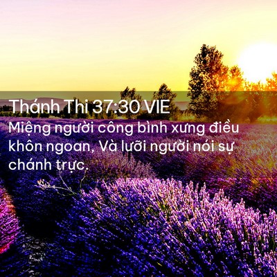 Picture 02 - Thánh Thi 37:30 VIE - Miệng người công bình xưng điều khôn - Bible Verse Picture