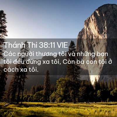 Picture 02 - Thánh Thi 38:11 VIE - Các người thương tôi và những bạn - Bible Verse Picture