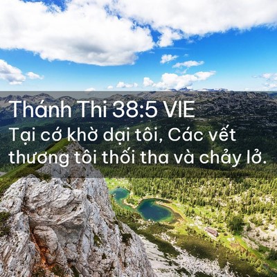 Picture 02 - Thánh Thi 38:5 VIE - Tại cớ khờ dại tôi, Các vết thương - Bible Verse Picture