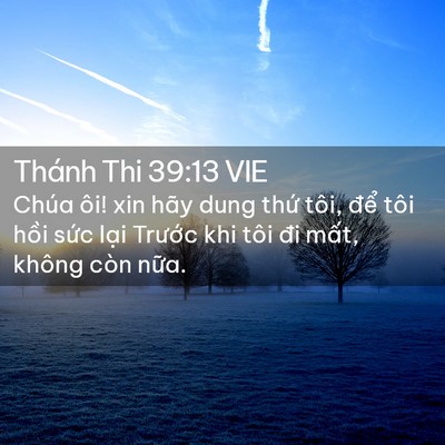 Picture 02 - Thánh Thi 39:13 VIE - Chúa ôi! xin hãy dung thứ tôi, để tôi - Bible Verse Picture