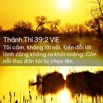 Picture 02 - Thánh Thi 39:2 VIE - Tôi câm, không lời nói, Đến đỗi lời - Bible Verse Picture