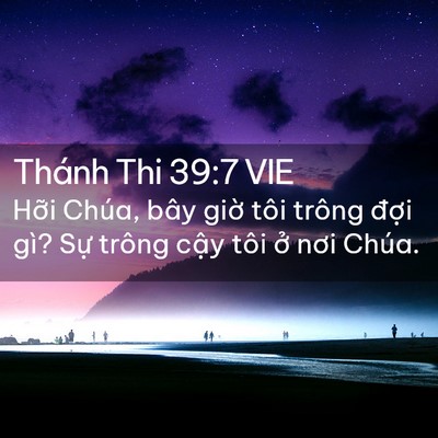 Picture 02 - Thánh Thi 39:7 VIE - Hỡi Chúa, bây giờ tôi trông đợi gì? - Bible Verse Picture