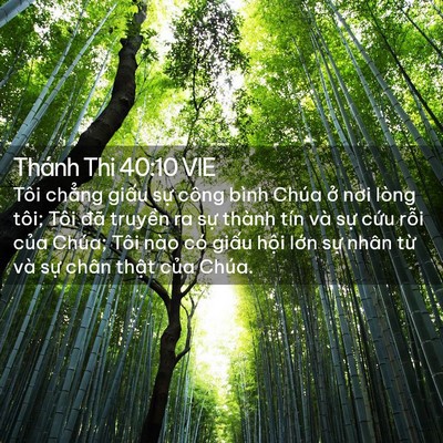 Picture 02 - Thánh Thi 40:10 VIE - Tôi chẳng giấu sự công bình Chúa ở - Bible Verse Picture