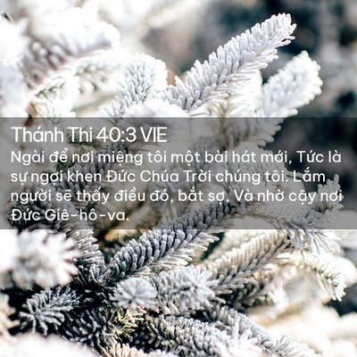 Picture 02 - Thánh Thi 40:3 VIE - Ngài để nơi miệng tôi một bài hát - Bible Verse Picture
