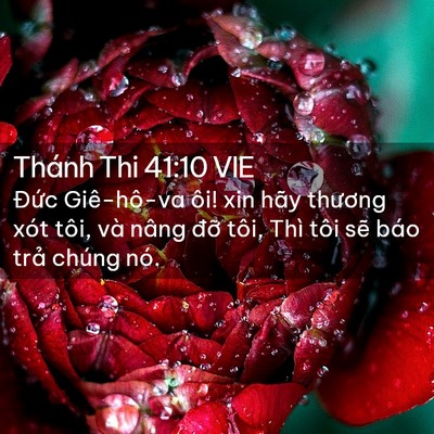 Picture 02 - Thánh Thi 41:10 VIE - Đức Giê-hô-va ôi! xin hãy thương xót - Bible Verse Picture