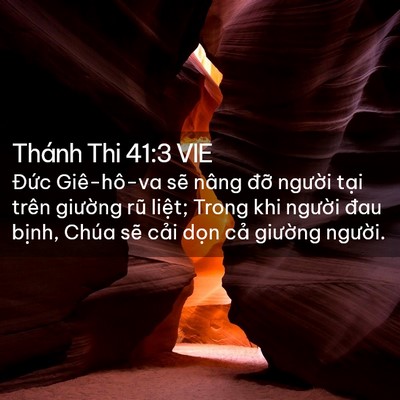 Picture 02 - Thánh Thi 41:3 VIE - Đức Giê-hô-va sẽ nâng đỡ người - Bible Verse Picture