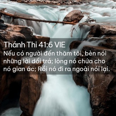 Picture 02 - Thánh Thi 41:6 VIE - Nếu có người đến thăm tôi, bèn nói - Bible Verse Picture