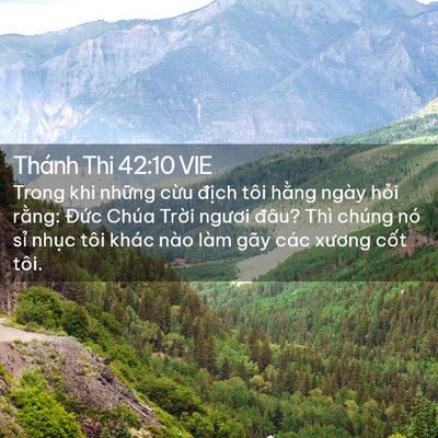 Picture 02 - Thánh Thi 42:10 VIE - Trong khi những cừu địch tôi hằng ngày - Bible Verse Picture