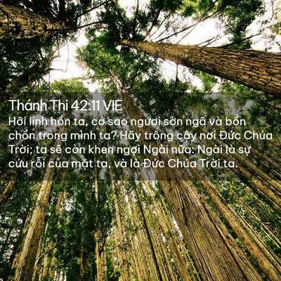 Picture 02 - Thánh Thi 42:11 VIE - Hỡi linh hồn ta, cớ sao ngươi sờn ngã - Bible Verse Picture