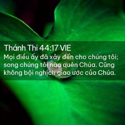 Picture 02 - Thánh Thi 44:17 VIE - Mọi điều ấy đã xảy đến cho chúng - Bible Verse Picture