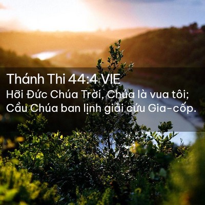 Picture 02 - Thánh Thi 44:4 VIE - Hỡi Đức Chúa Trời, Chúa là vua tôi; - Bible Verse Picture