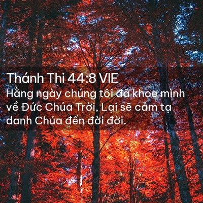 Picture 02 - Thánh Thi 44:8 VIE - Hằng ngày chúng tôi đã khoe mình về - Bible Verse Picture