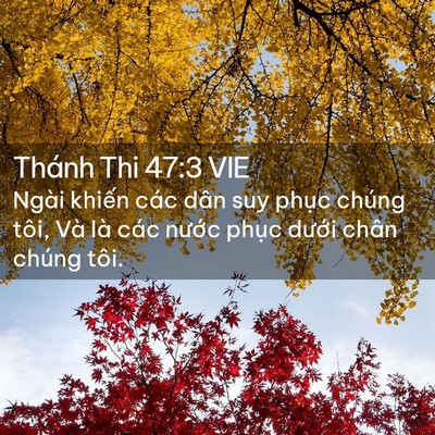 Picture 02 - Thánh Thi 47:3 VIE - Ngài khiến các dân suy phục chúng tôi, - Bible Verse Picture