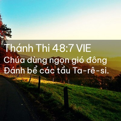 Picture 02 - Thánh Thi 48:7 VIE - Chúa dùng ngọn gió đông Đánh bể các - Bible Verse Picture
