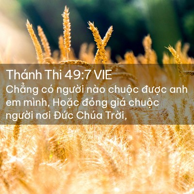 Picture 02 - Thánh Thi 49:7 VIE - Chẳng có người nào chuộc được anh em - Bible Verse Picture