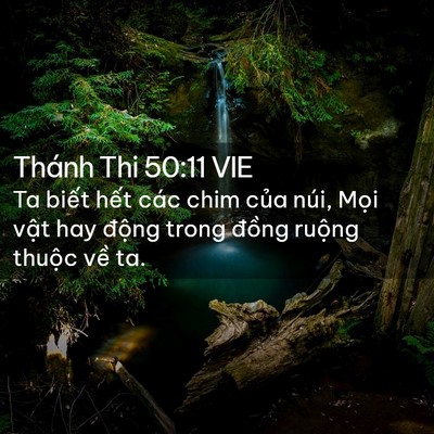 Picture 02 - Thánh Thi 50:11 VIE - Ta biết hết các chim của núi, Mọi vật - Bible Verse Picture