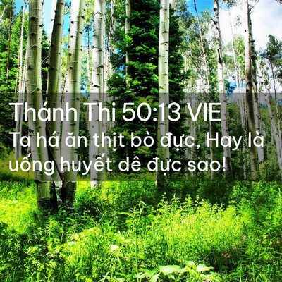 Picture 02 - Thánh Thi 50:13 VIE - Ta há ăn thịt bò đực, Hay là uống - Bible Verse Picture