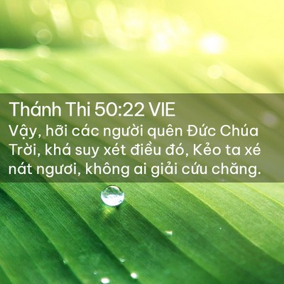 Picture 02 - Thánh Thi 50:22 VIE - Vậy, hỡi các người quên Đức Chúa - Bible Verse Picture