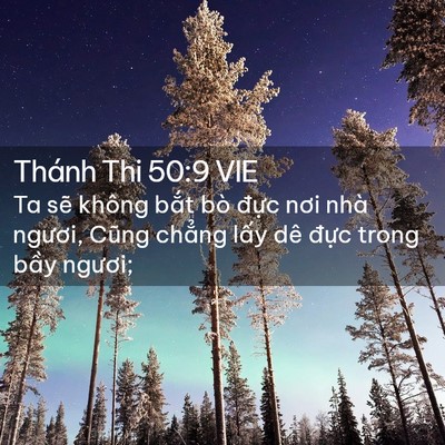 Picture 02 - Thánh Thi 50:9 VIE - Ta sẽ không bắt bò đực nơi nhà - Bible Verse Picture