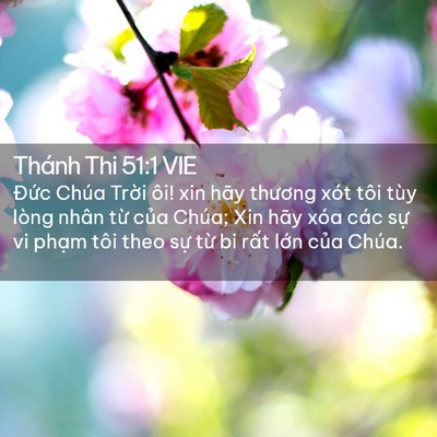 Picture 02 - Thánh Thi 51:1 VIE - Đức Chúa Trời ôi! xin hãy thương xót - Bible Verse Picture