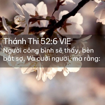 Picture 02 - Thánh Thi 52:6 VIE - Người công bình sẽ thấy, bèn bắt - Bible Verse Picture