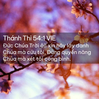 Picture 02 - Thánh Thi 54:1 VIE - Đức Chúa Trời ôi! xin hãy lấy danh - Bible Verse Picture
