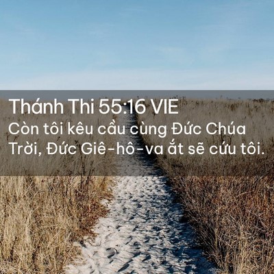 Picture 02 - Thánh Thi 55:16 VIE - Còn tôi kêu cầu cùng Đức Chúa Trời, - Bible Verse Picture