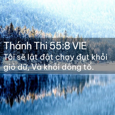 Picture 02 - Thánh Thi 55:8 VIE - Tôi sẽ lật đật chạy đụt khỏi gió - Bible Verse Picture
