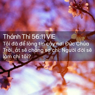 Picture 02 - Thánh Thi 56:11 VIE - Tôi đã để lòng tin cậy nơi Đức Chúa - Bible Verse Picture