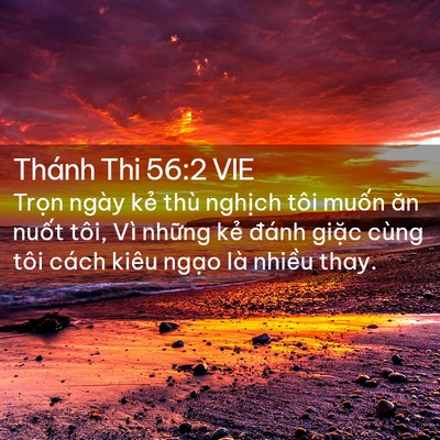Picture 02 - Thánh Thi 56:2 VIE - Trọn ngày kẻ thù nghịch tôi muốn ăn - Bible Verse Picture