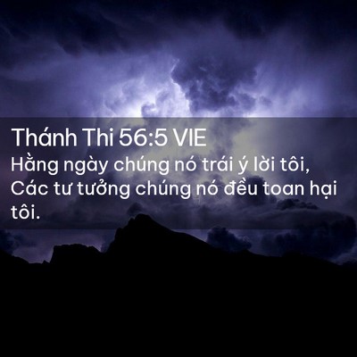 Picture 02 - Thánh Thi 56:5 VIE - Hằng ngày chúng nó trái ý lời tôi, Các - Bible Verse Picture