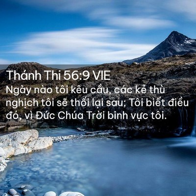 Picture 02 - Thánh Thi 56:9 VIE - Ngày nào tôi kêu cầu, các kẻ thù - Bible Verse Picture
