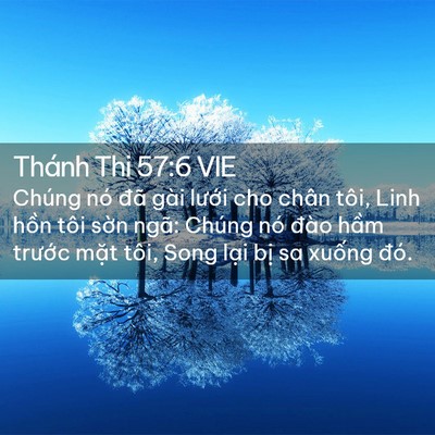Picture 02 - Thánh Thi 57:6 VIE - Chúng nó đã gài lưới cho chân tôi, Linh - Bible Verse Picture