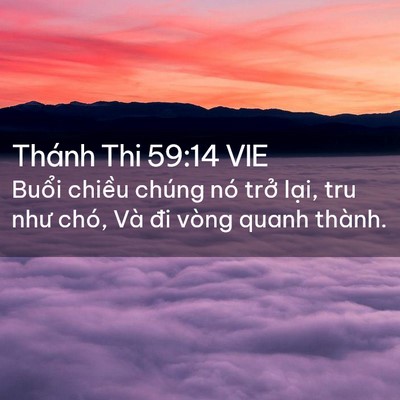 Picture 02 - Thánh Thi 59:14 VIE - Buổi chiều chúng nó trở lại, tru như - Bible Verse Picture