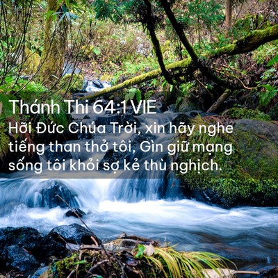 Picture 02 - Thánh Thi 64:1 VIE - Hỡi Đức Chúa Trời, xin hãy nghe tiếng - Bible Verse Picture