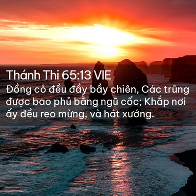 Picture 02 - Thánh Thi 65:13 VIE - Đồng cỏ đều đầy bầy chiên, Các - Bible Verse Picture