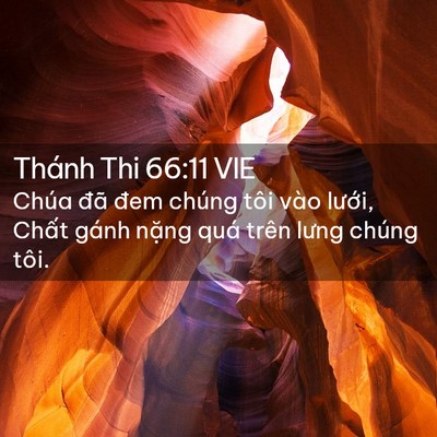 Picture 02 - Thánh Thi 66:11 VIE - Chúa đã đem chúng tôi vào lưới, Chất - Bible Verse Picture