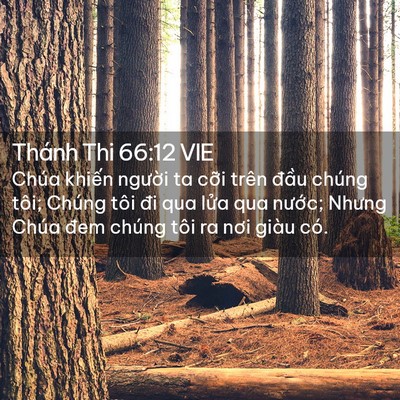 Picture 02 - Thánh Thi 66:12 VIE - Chúa khiến người ta cỡi trên đầu - Bible Verse Picture