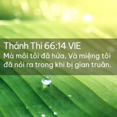Picture 02 - Thánh Thi 66:14 VIE - Mà môi tôi đã hứa, Và miệng tôi đã - Bible Verse Picture