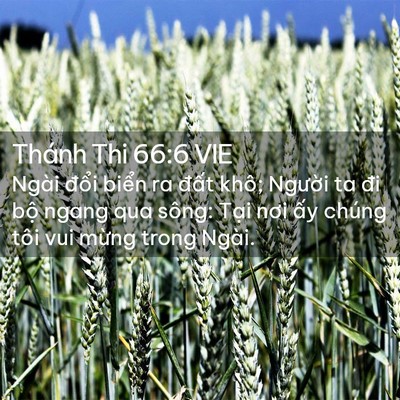 Picture 02 - Thánh Thi 66:6 VIE - Ngài đổi biển ra đất khô; Người ta - Bible Verse Picture