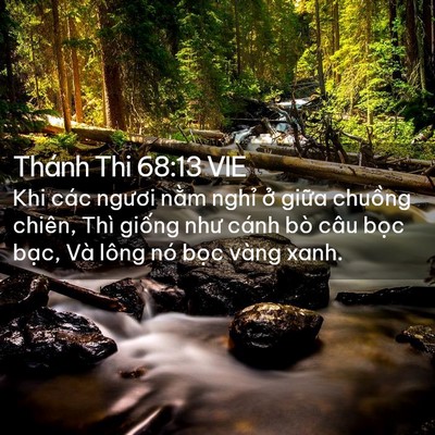 Picture 02 - Thánh Thi 68:13 VIE - Khi các ngươi nằm nghỉ ở giữa chuồng - Bible Verse Picture