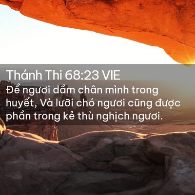 Picture 02 - Thánh Thi 68:23 VIE - Để ngươi dầm chân mình trong huyết, - Bible Verse Picture