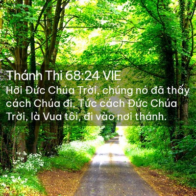 Picture 02 - Thánh Thi 68:24 VIE - Hỡi Đức Chúa Trời, chúng nó đã thấy - Bible Verse Picture