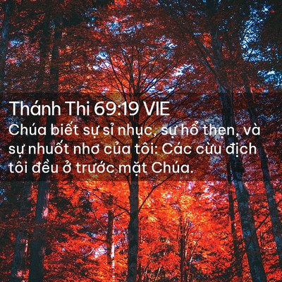Picture 02 - Thánh Thi 69:19 VIE - Chúa biết sự sỉ nhục, sự hổ thẹn, - Bible Verse Picture