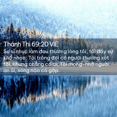 Picture 02 - Thánh Thi 69:20 VIE - Sự sỉ nhục làm đau thương lòng tôi, - Bible Verse Picture