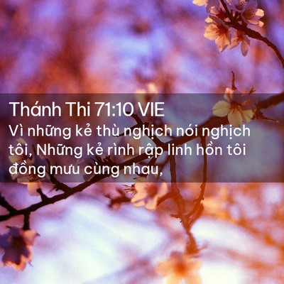 Picture 02 - Thánh Thi 71:10 VIE - Vì những kẻ thù nghịch nói nghịch - Bible Verse Picture