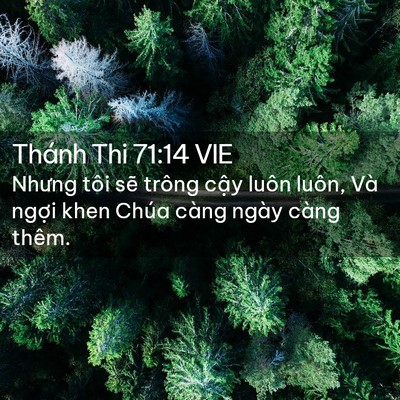 Picture 02 - Thánh Thi 71:14 VIE - Nhưng tôi sẽ trông cậy luôn luôn, Và - Bible Verse Picture
