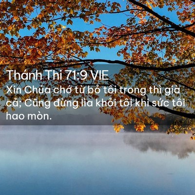Picture 02 - Thánh Thi 71:9 VIE - Xin Chúa chớ từ bỏ tôi trong thì già - Bible Verse Picture