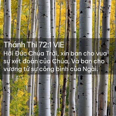 Picture 02 - Thánh Thi 72:1 VIE - Hỡi Đức Chúa Trời, xin ban cho vua sự - Bible Verse Picture
